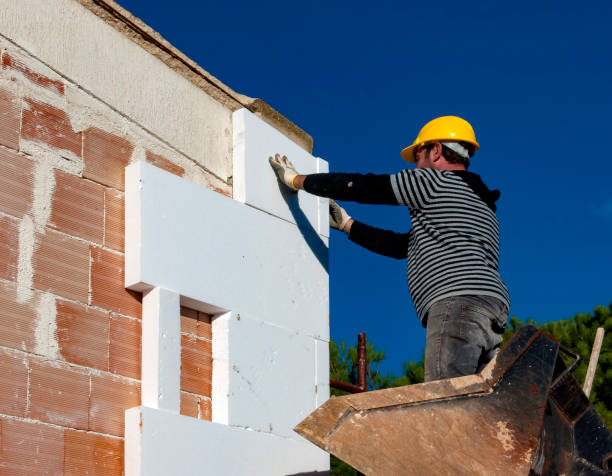 Best Soundproof Insulation Installation  in Jan Phyl Village, FL