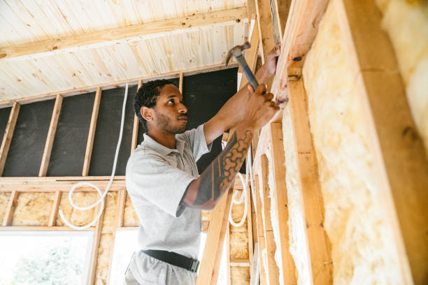 Best Insulation Contractor Near Me  in Jan Phyl Village, FL