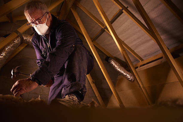 Best Best Insulation Companies  in Jan Phyl Village, FL