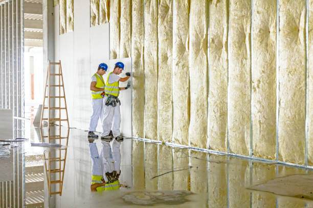 Best Garage Insulation Installation  in Jan Phyl Village, FL